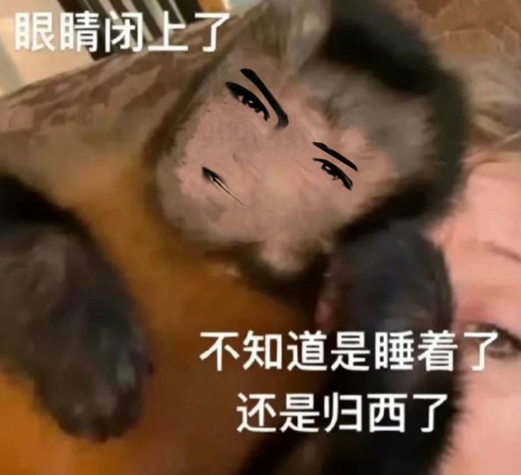 夏以昼 恋与深空热门壁纸分享｜恋与深空热门表情包分享｜抽象表情包｜搞笑表情包｜实
