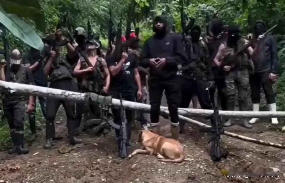 马杜罗这是有多得民心，连黑手党组织“Tren del llano”都要对其宣战，