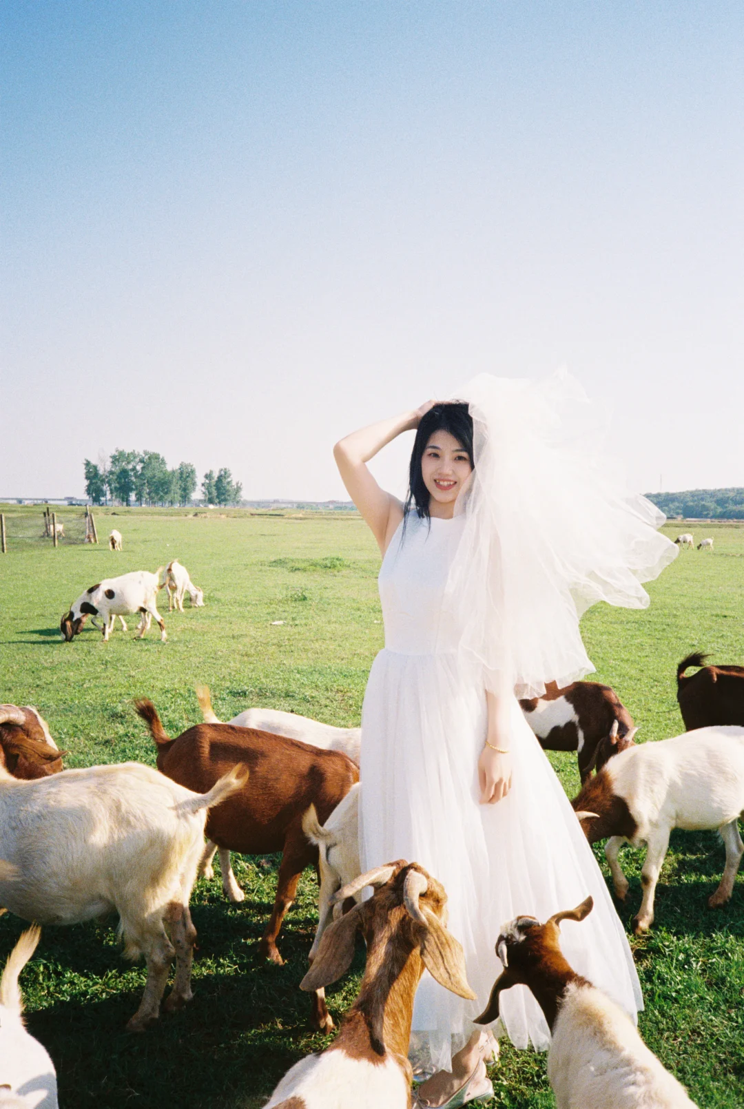 在南昌，这样的客片风格有人喜欢吗🎞️