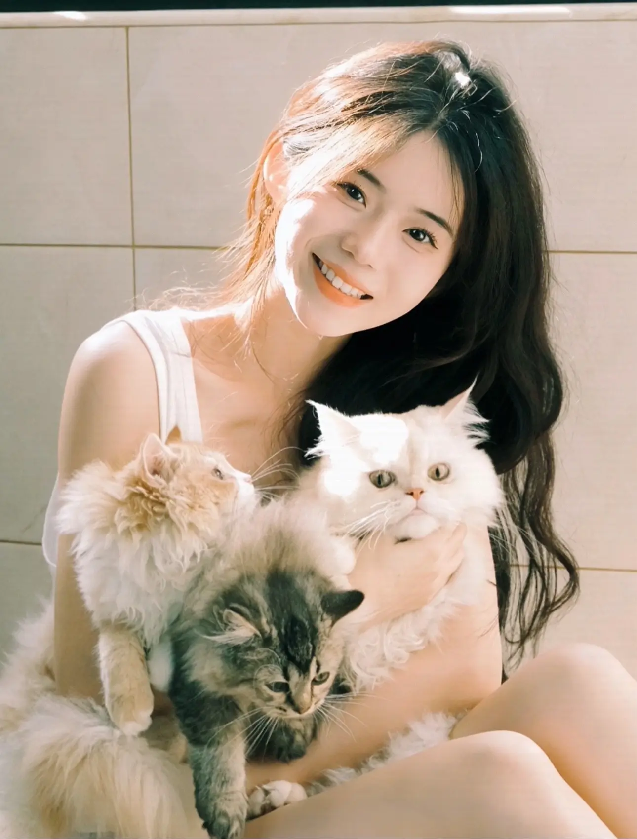 要一个猫一起过夏天……