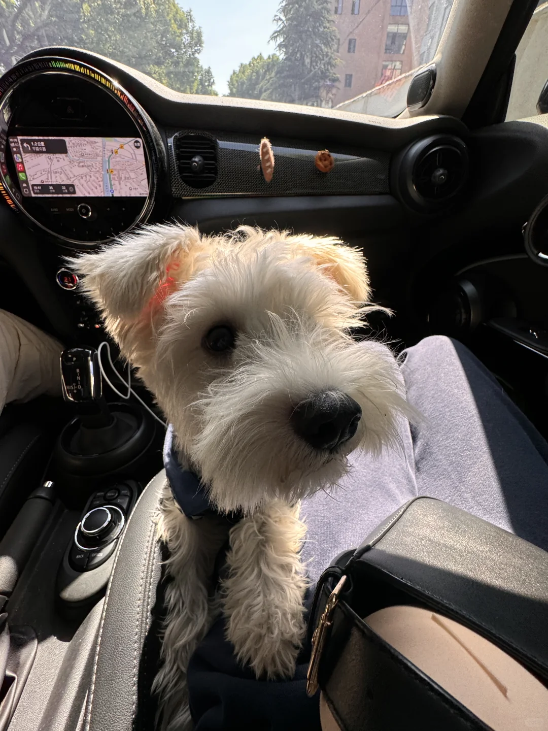 粗去玩🚗