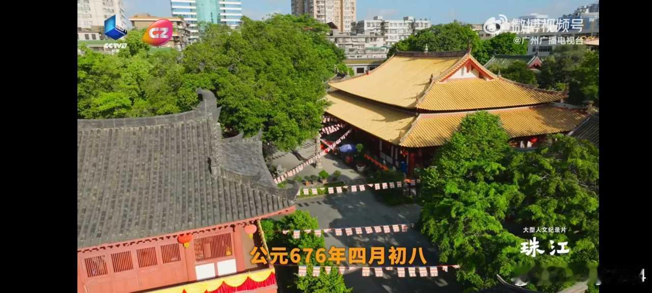 《珠江》里有个镜头让我特别难忘：凌晨四点的黄沙水产市场，工人们踩着湿滑的地面搬运