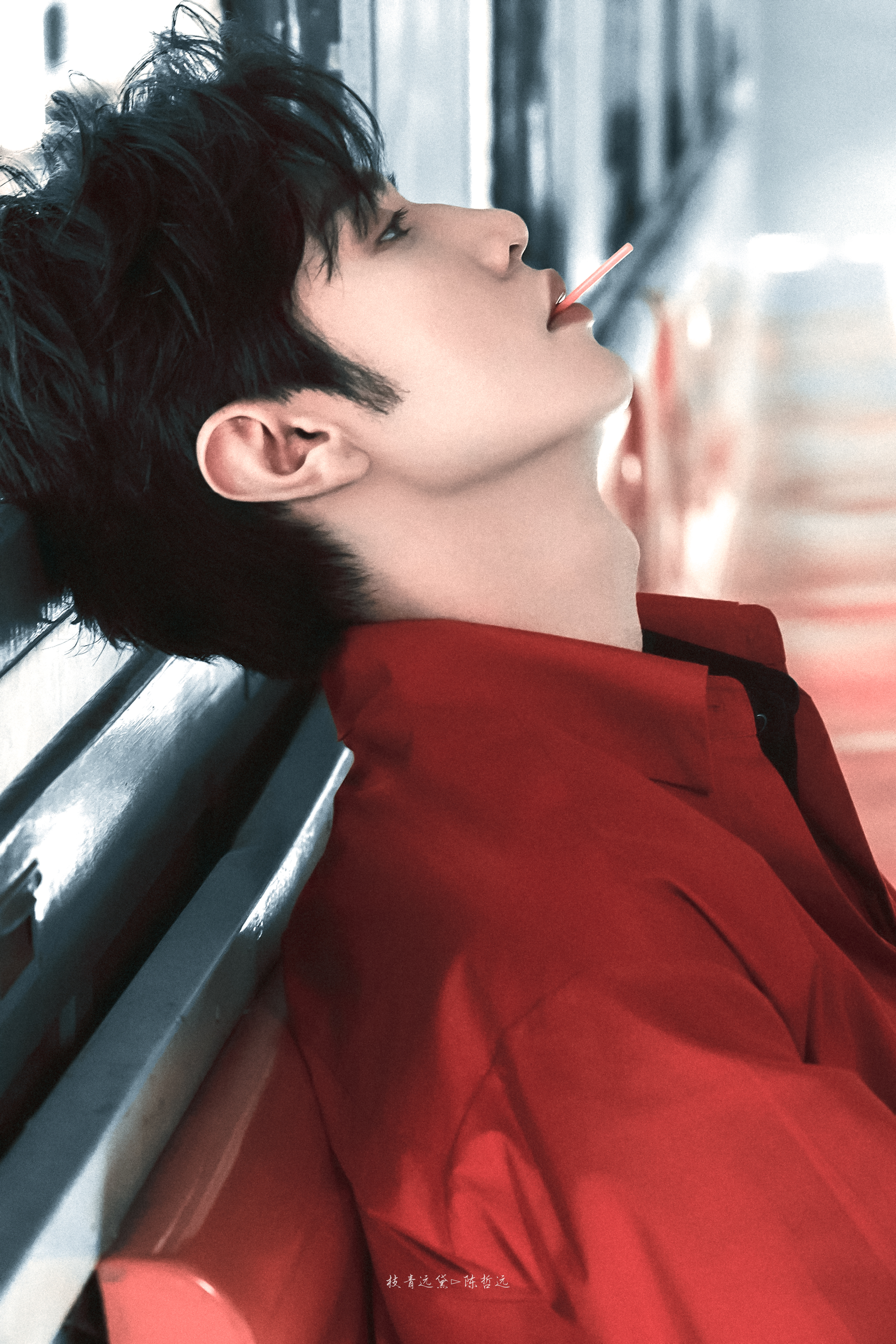 陈哲远/🤎🎞陈哲远在泰国红了一栋楼 *陈哲远泰国红海