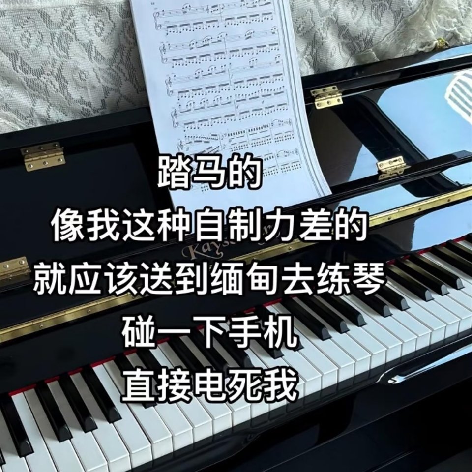 对的对的 