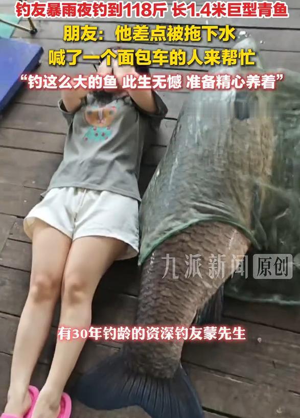 男子暴雨夜钓到118斤青鱼，一条鱼差不多和一个人等高了，我还真没有见过这么大的青