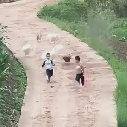 笑死了！四川，一妈妈叫俩娃去给爷爷奶奶送粽子，去的时候还好好的，没想到回来的时候