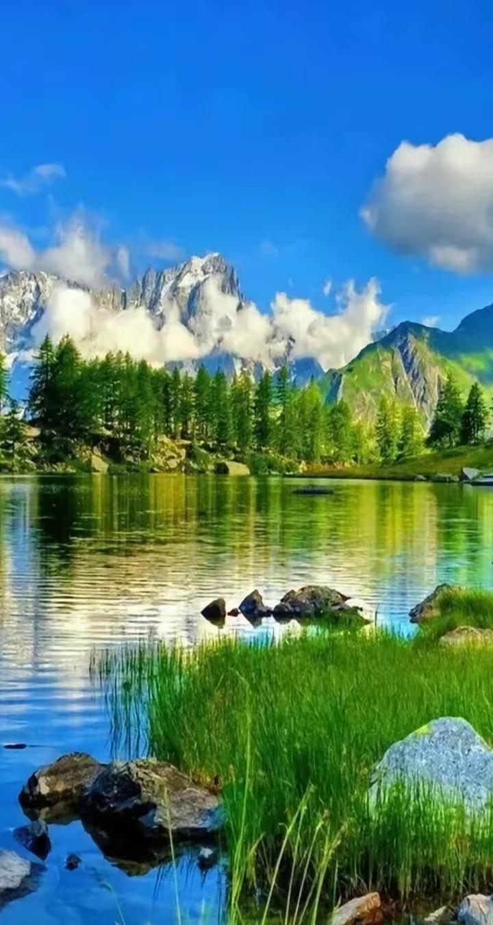 苔藓
 
不争暖阳，不恋高台
就贴在青石的褶皱里
做世间最朴素的存在
 
干旱时