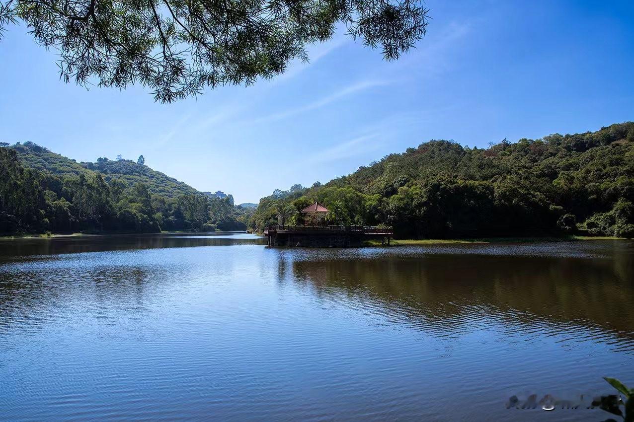 从气候看，12月份，漳州的宜居要优于昆明，这是我没想到的。

今日大雪节气，北方