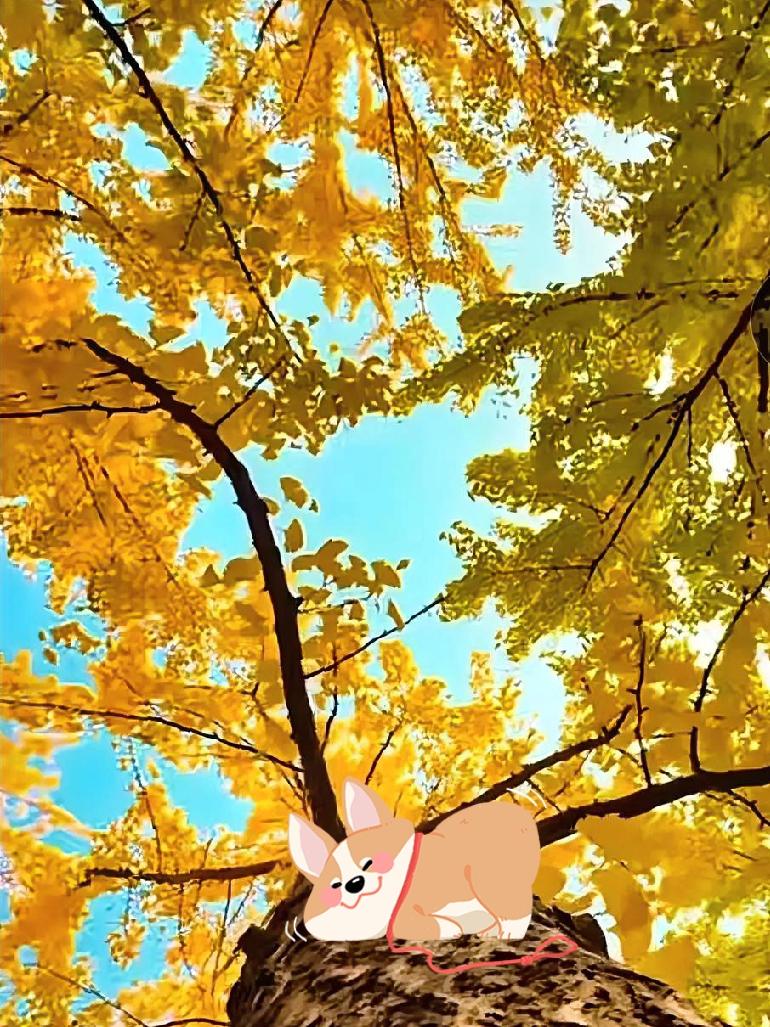 我觉得人最可贵的品格，是靠谱。
 
答应的事一定办，不随便画饼；做不到的事提前说