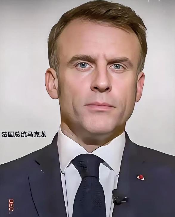 4月8日，法国总统马克龙公开表态，说已经有大约15个国家动起来了，在法国牵头之下