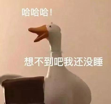 睡不着的来评论区自言自语 