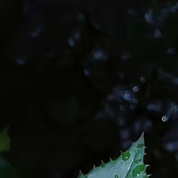 每日一善 善良是在他人危难时的一句关切，是在他人摔倒时的一次搀扶。善良的心有如东
