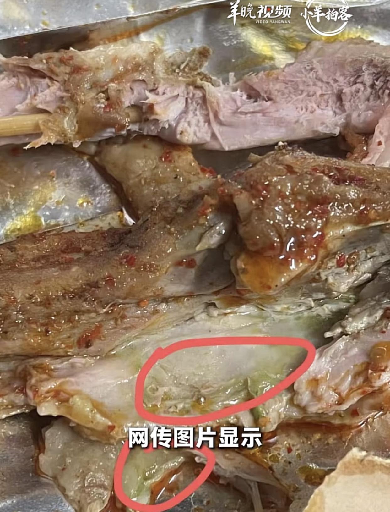 鸭腿当鹅腿，还一卖就卖10多年！
一群单纯的学生，看见站在寒风里瑟瑟发抖的烧烤店