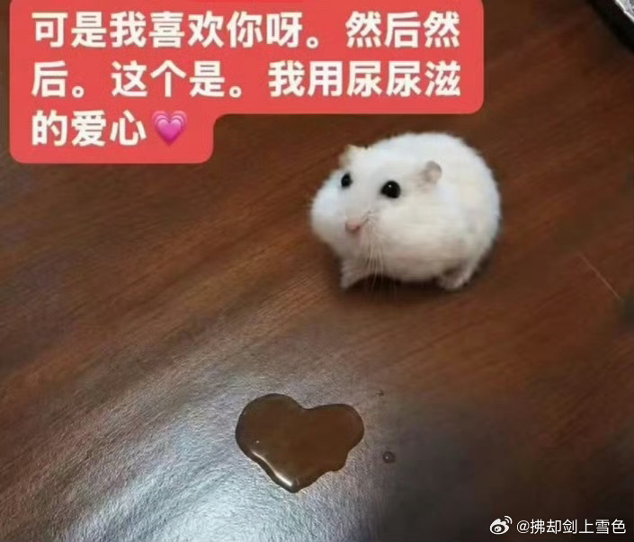 分享图片 