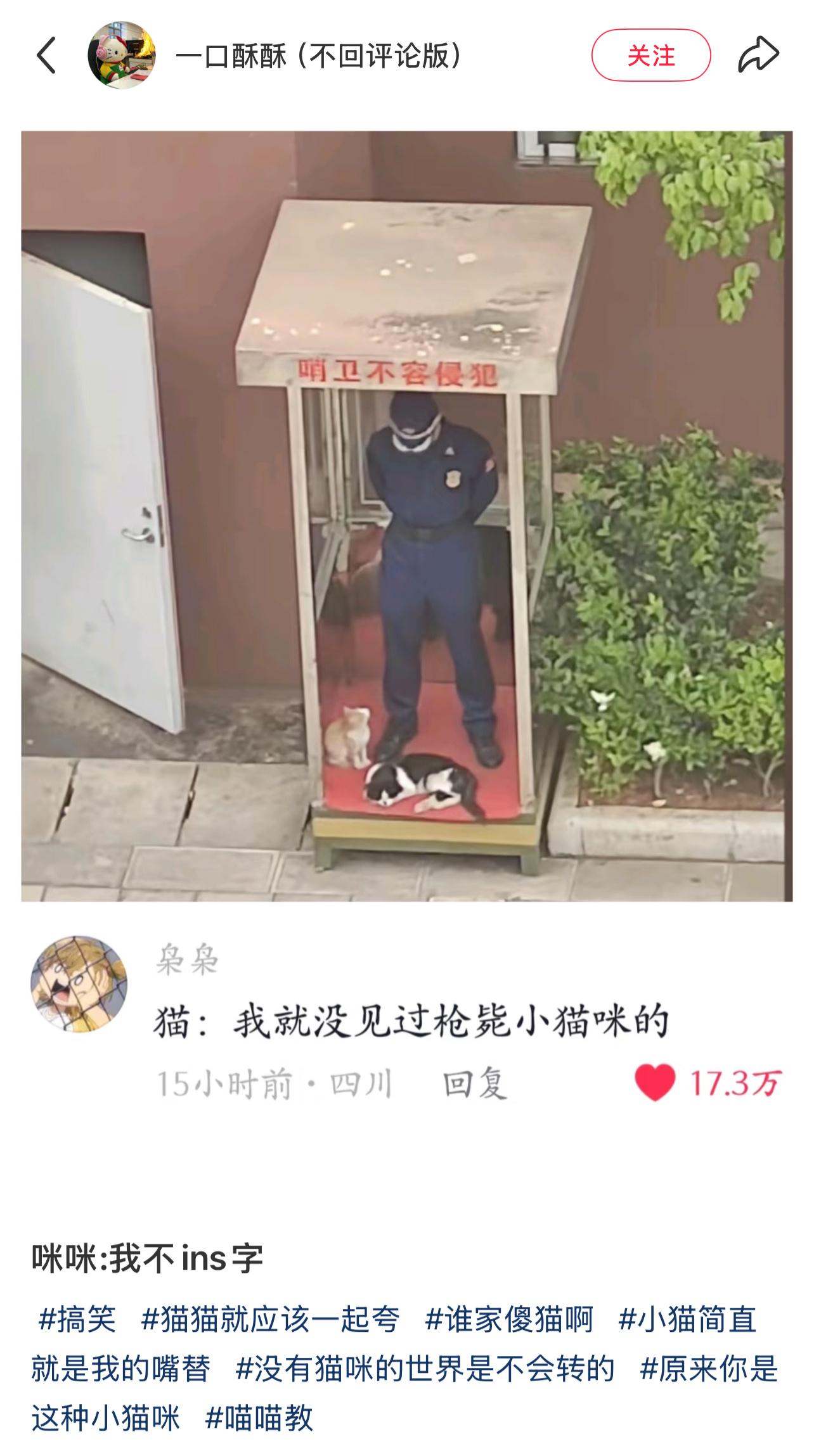 咪咪：我不ins字 ​​​