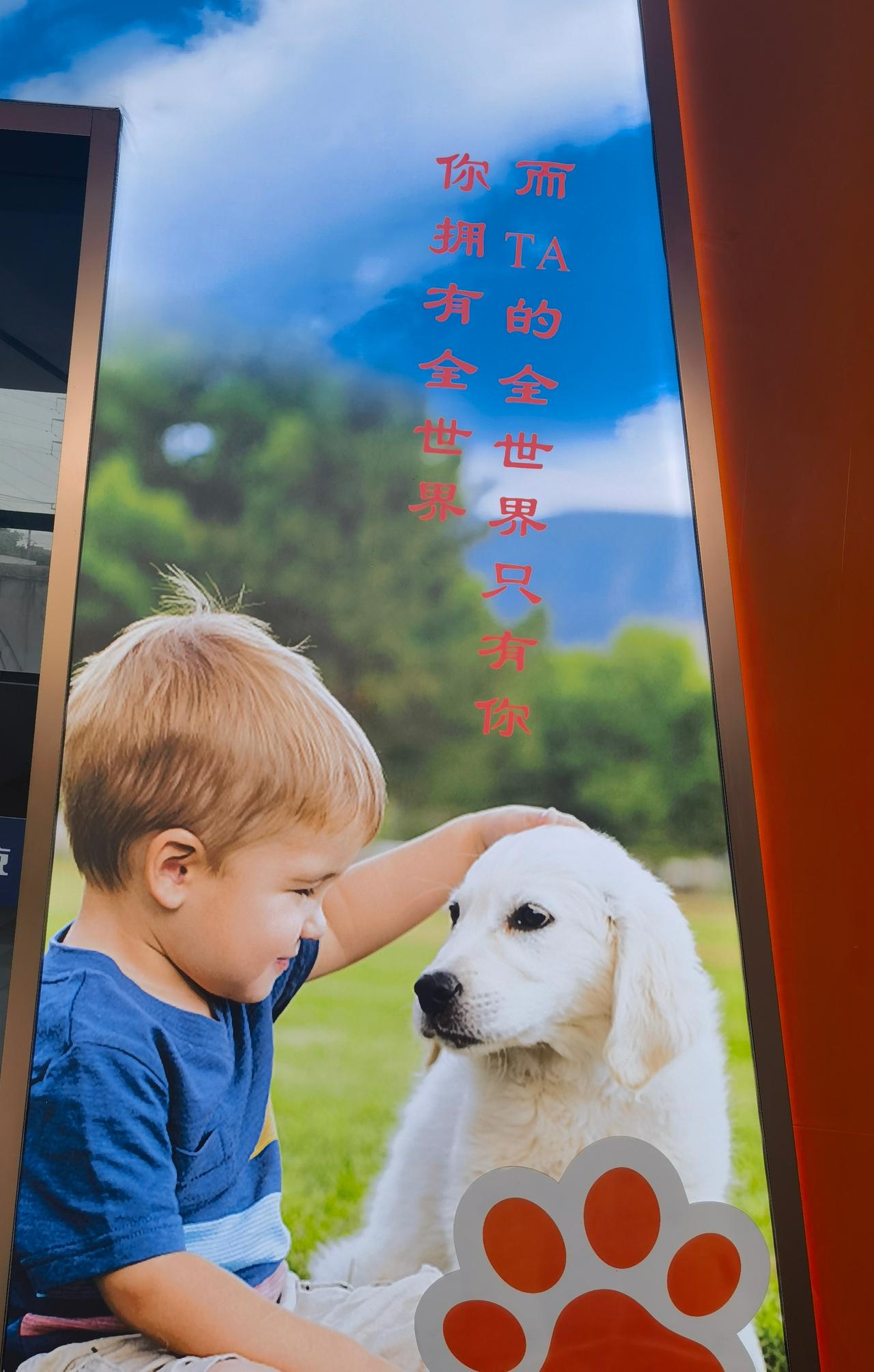 看图写字：
1写个成语
2写个歇后语
3写个词语