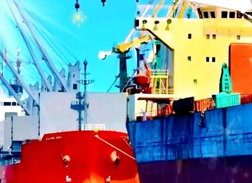 解释不清了！当一船满载6.9万吨巴西大豆的货轮靠泊江苏泰州码头时，谁也没想到，大