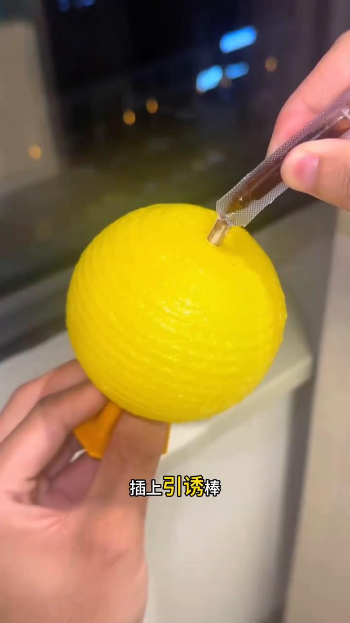 家里厨房垃圾桶小飞虫到处飞，我就长了一个粘虫小球。装上底座，插上引诱棒，滴上药水