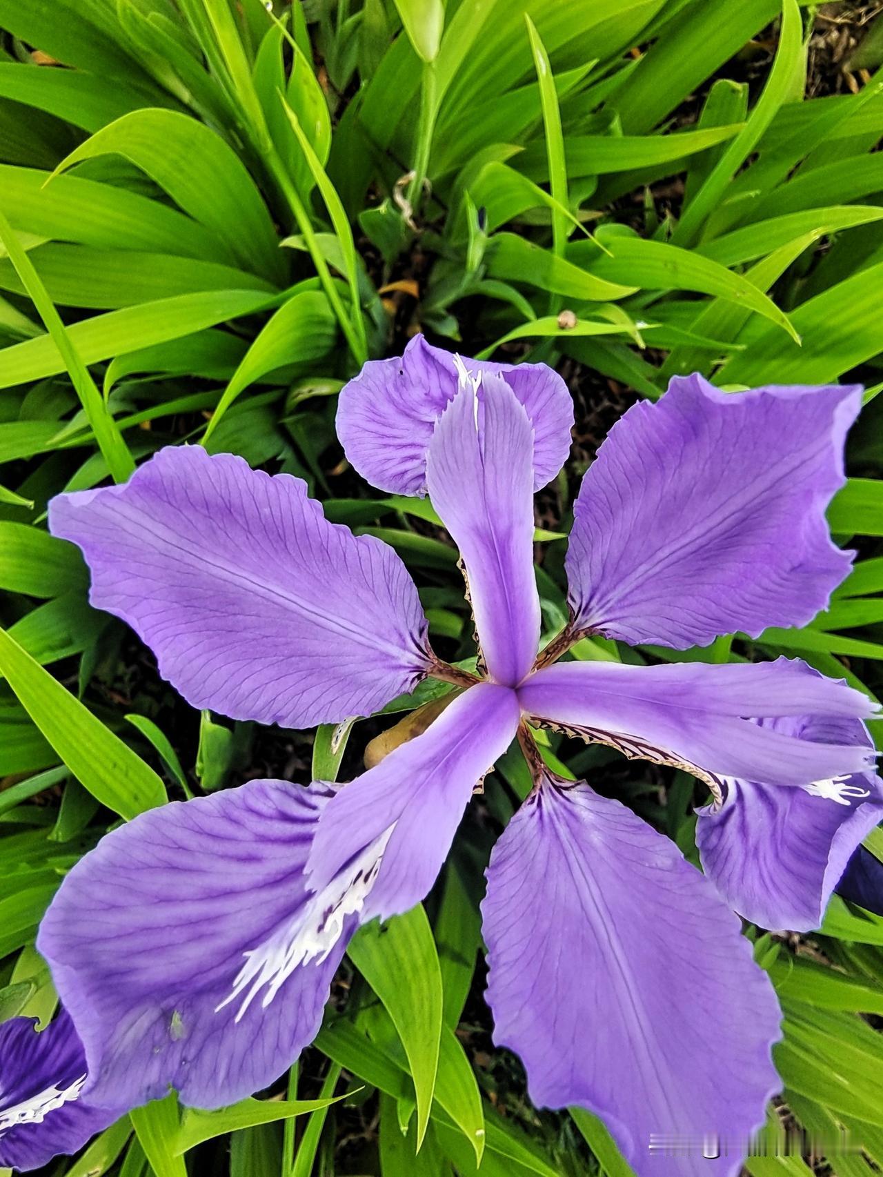 以前医院经常见，
收受红包很泛滥。
特别以前大医院，
主刀医生最关键。
病人家属