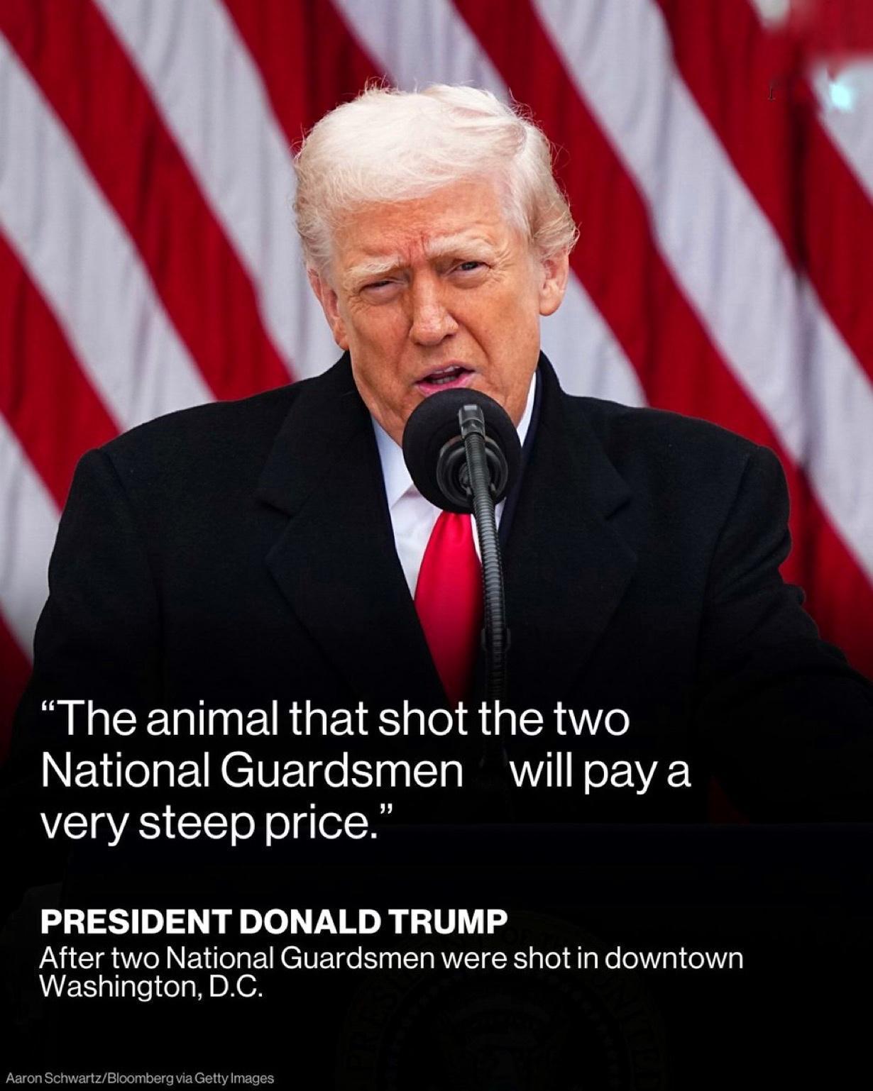 特朗普在社交媒体上发文称，在华盛顿特区市中心白宫附近枪击两名国民警卫队员的嫌犯“