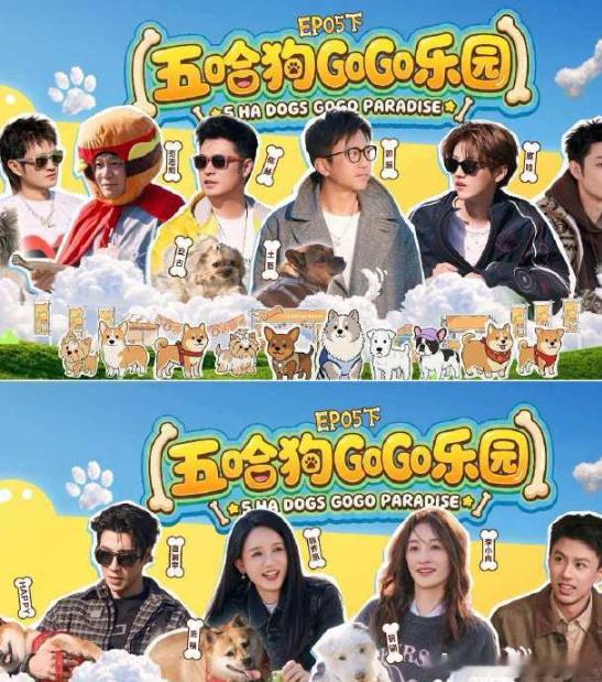 哈哈哈哈哈‖五哈6   已更5.29期资源攒取，真有！！ 