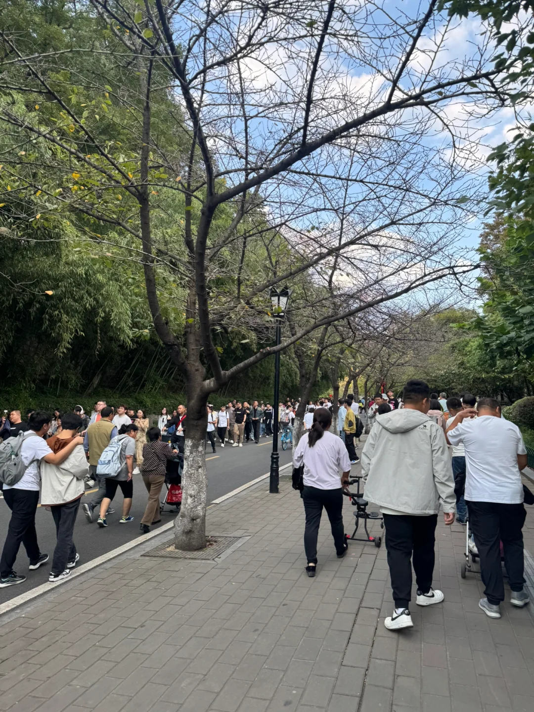 南京土著极限体验国庆假期的玄武湖🥹🥹