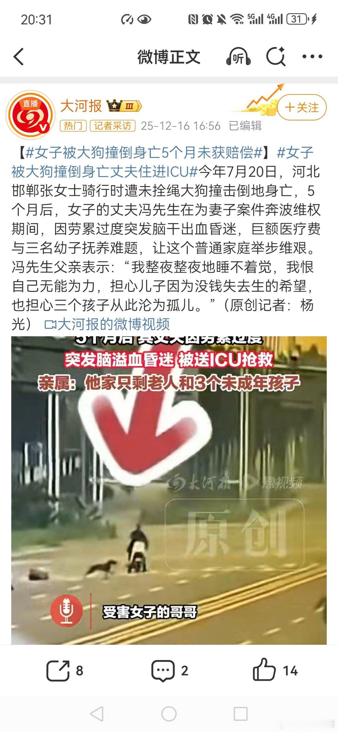 【女子被大狗撞倒身亡5个月未获赔偿】女子被大狗撞倒身亡丈夫住进ICU狗主人岂能仅