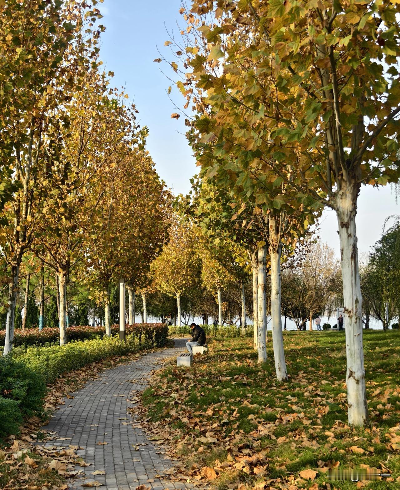 这样的亲戚还有必要来往吗？

在湖北松滋农村，清明节的风俗与其他地方不一样。
清