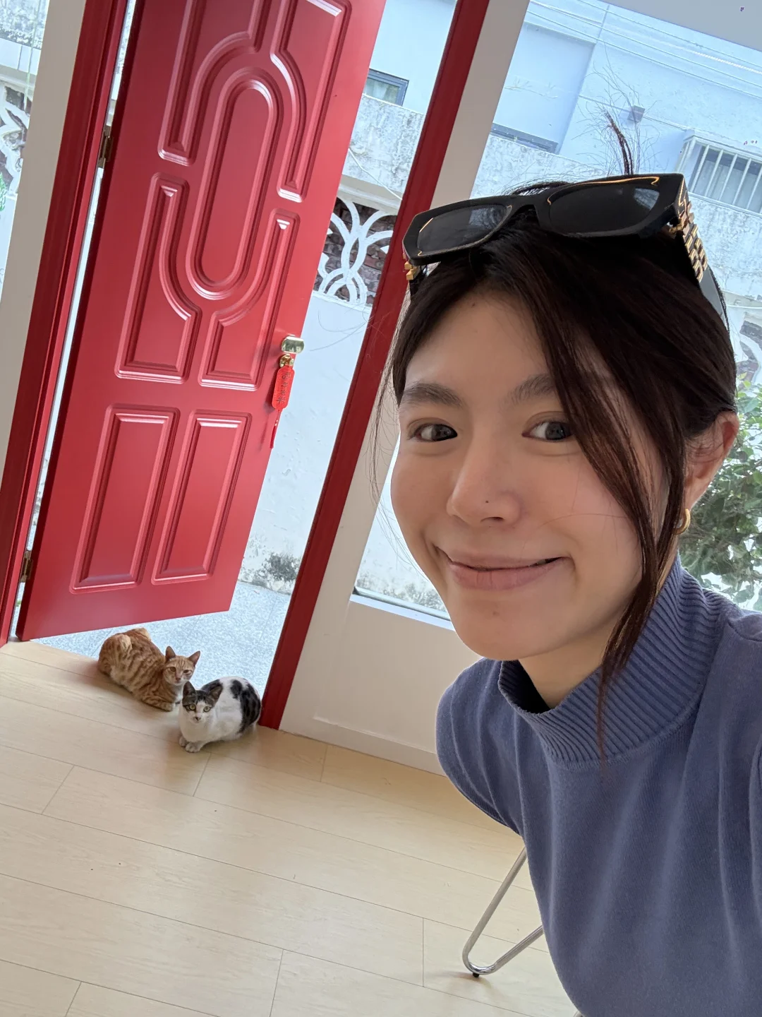 附近的小猫们🐱