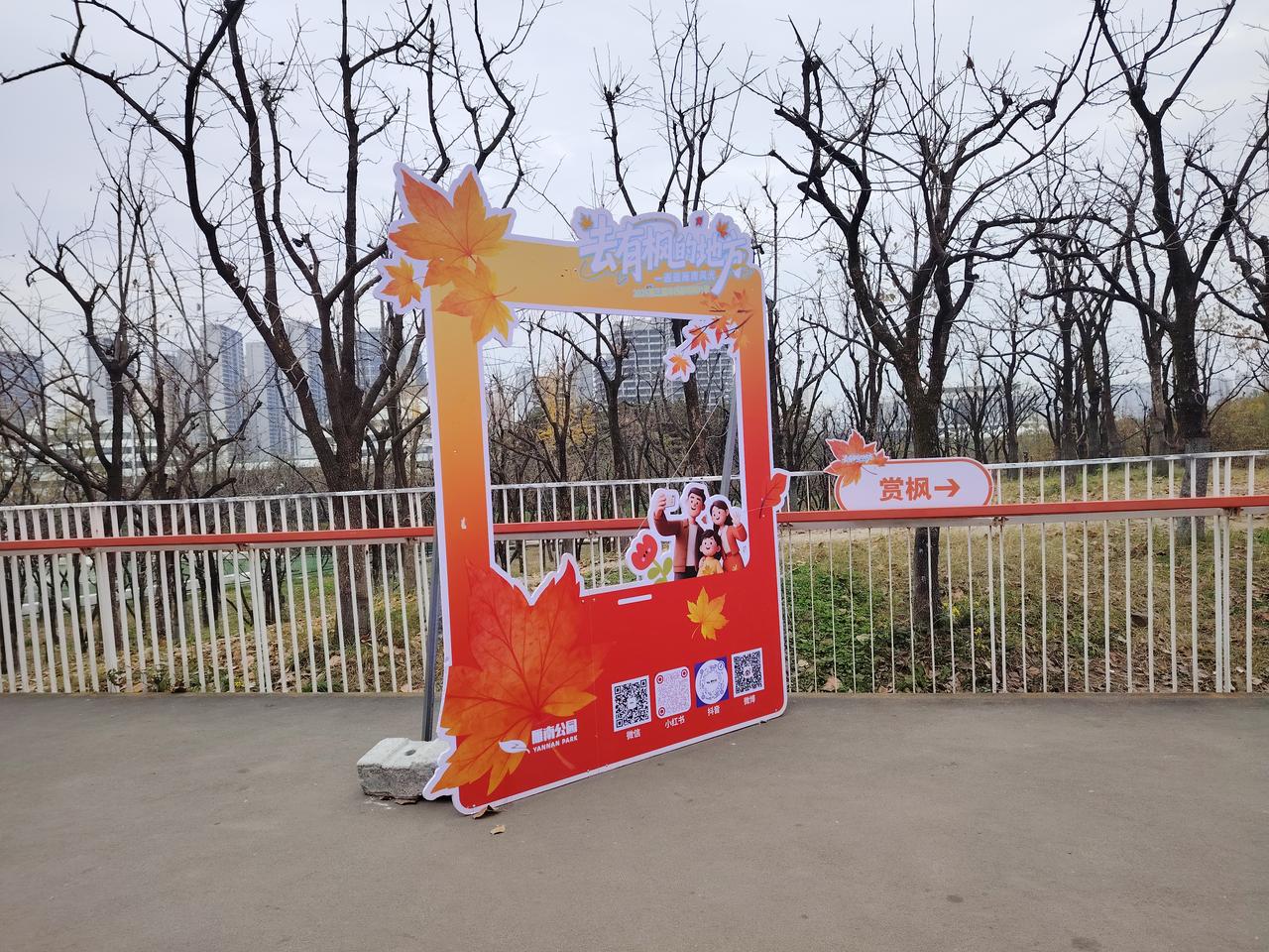 昨天我们的雁南公园游览，去的时候没有查好搭哪一辆公交车，多走一站路，还把眼镜盒丢