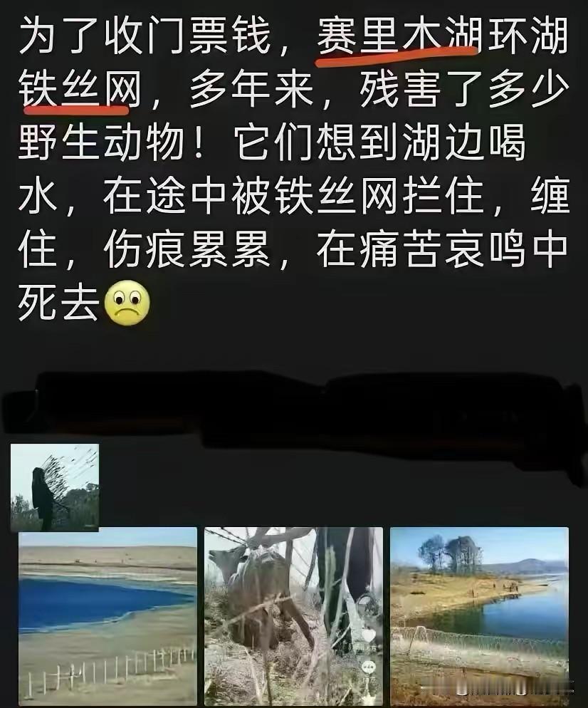 也想知道是赛里木湖向泰山学的
还是泰山像赛里木湖学的
大家能不能学点好啊，给人民