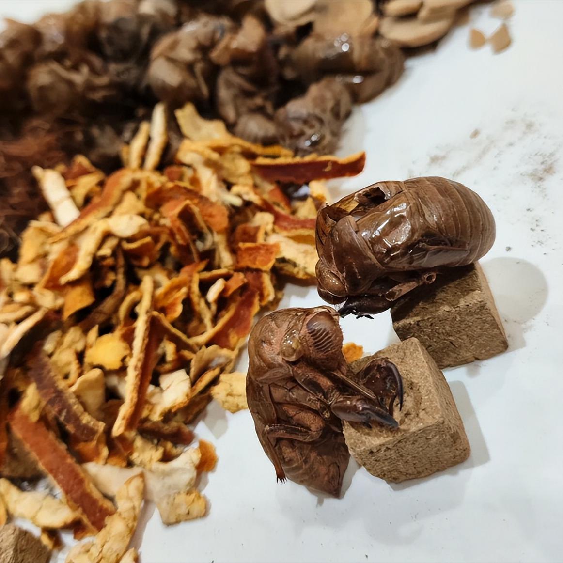 一张对付顽固性阳痿早泄的好方子，一定要收藏！


今天给大家分享中医调理阳痿早泄