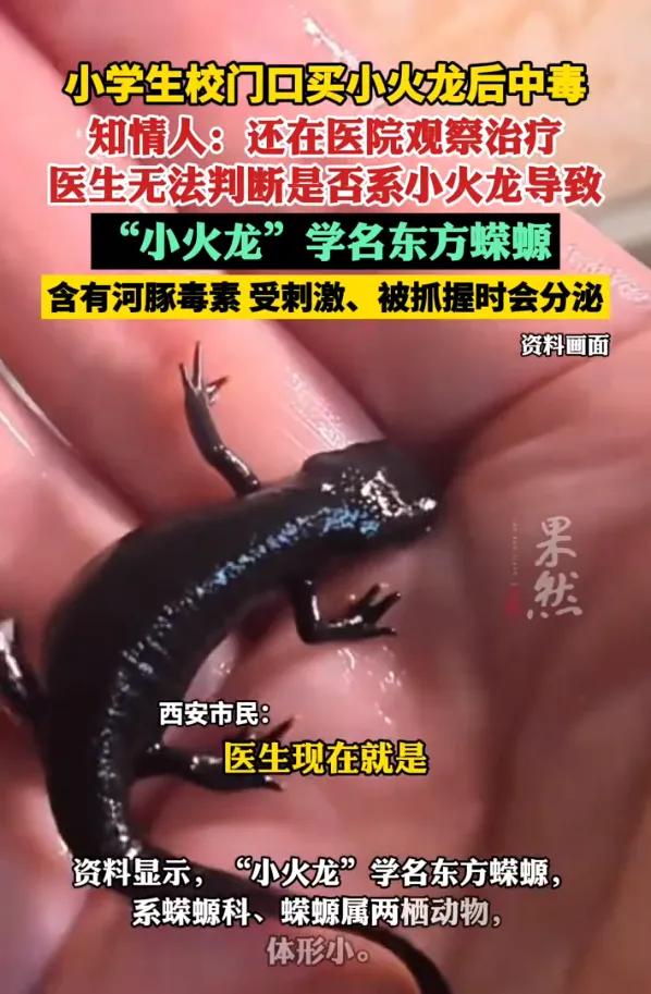西安一名小学生在校门口花1元买了摆摊售卖的“小火龙”，把玩后出现中毒呕吐症状，目