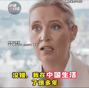 强如魏德尔，面对记者提问，如何挽回中国市场，也只能说说历史，骂骂政敌，顾左右而言
