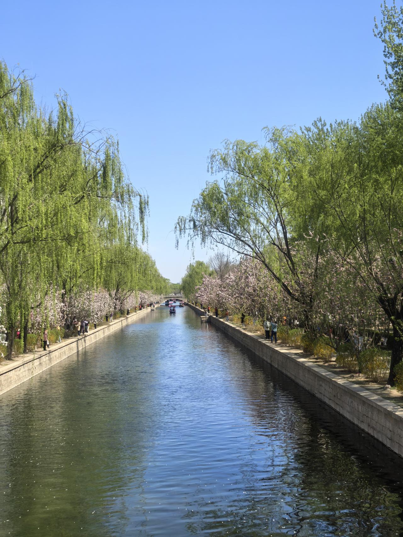 春来日暖海棠花溪，股市垃圾时间游玩好于看盘。开盘前挂单证券保险ETF下午成交，建