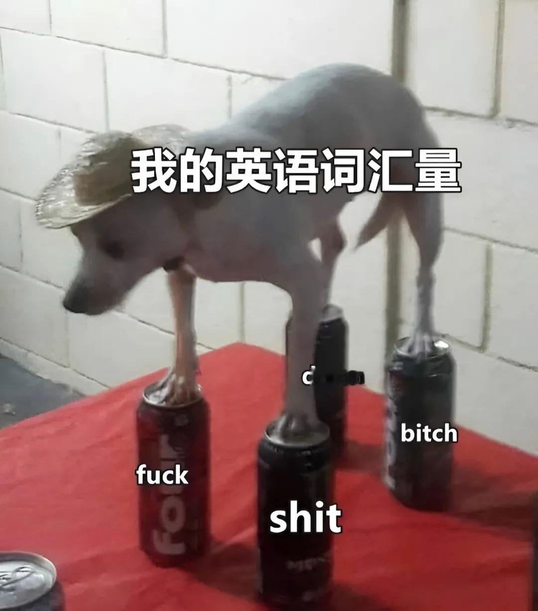 我都能看懂的单词能是什么好词？memes /今日memes ​​​