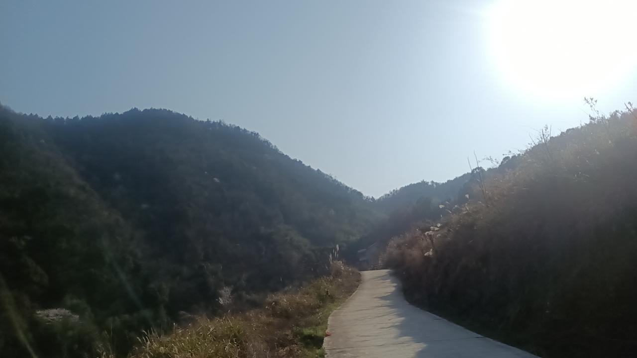 ⏰ 精准错峰：抓准“黄金窗口”
 
今天是正月初八，车流较初六、初七已明显下降，