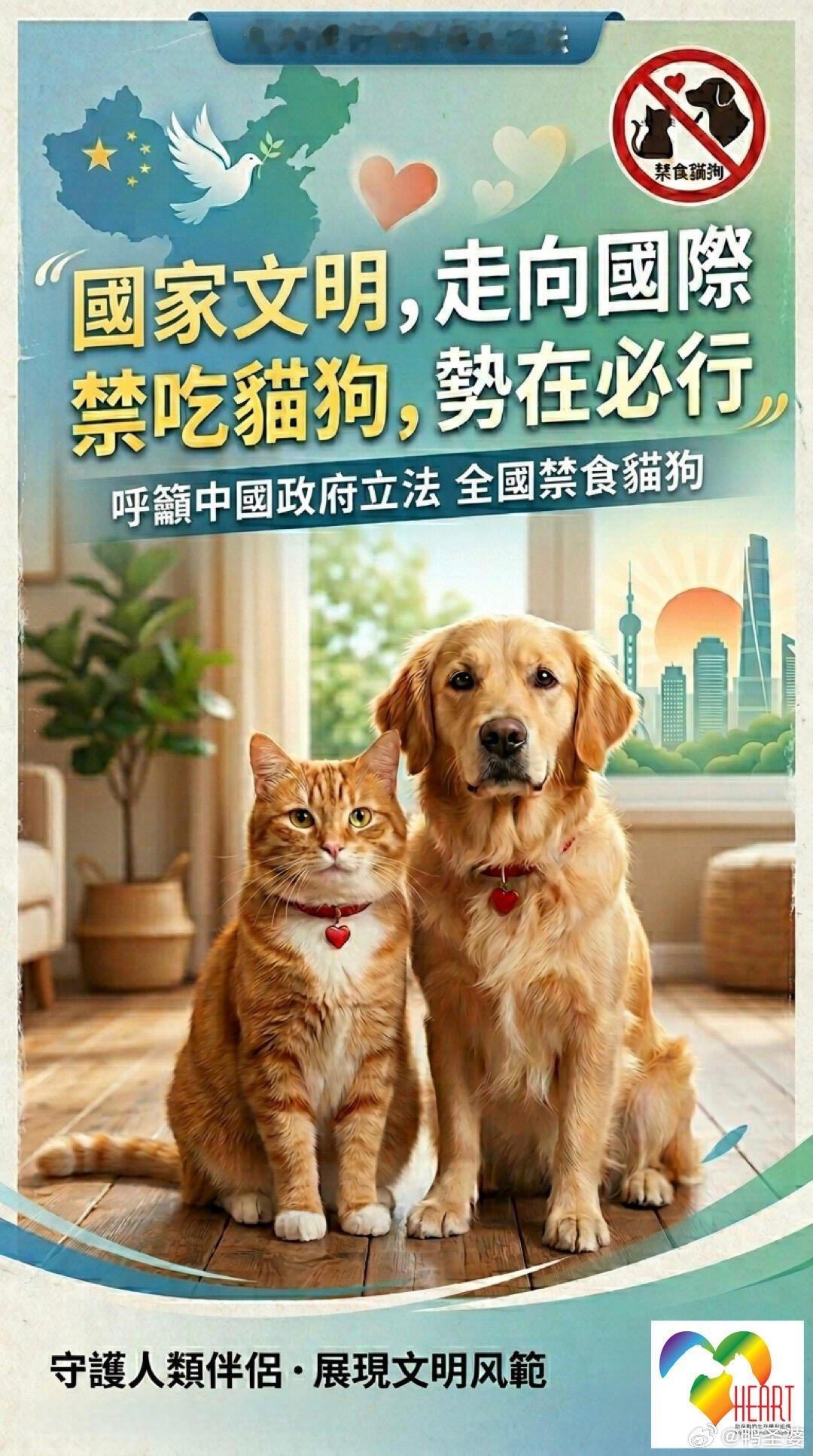 -香港艺人朱庭萱发文:恳请全国实行禁食猫狗，提升国家文明、接轨国际，禁食猫狗势在
