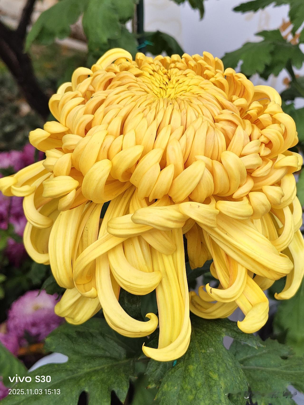 冬日生活打卡季