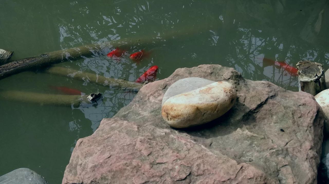 中午吃饭的时候，突然想到是不是有一种可能性，山海经中的海极有可能是远古时期的四川