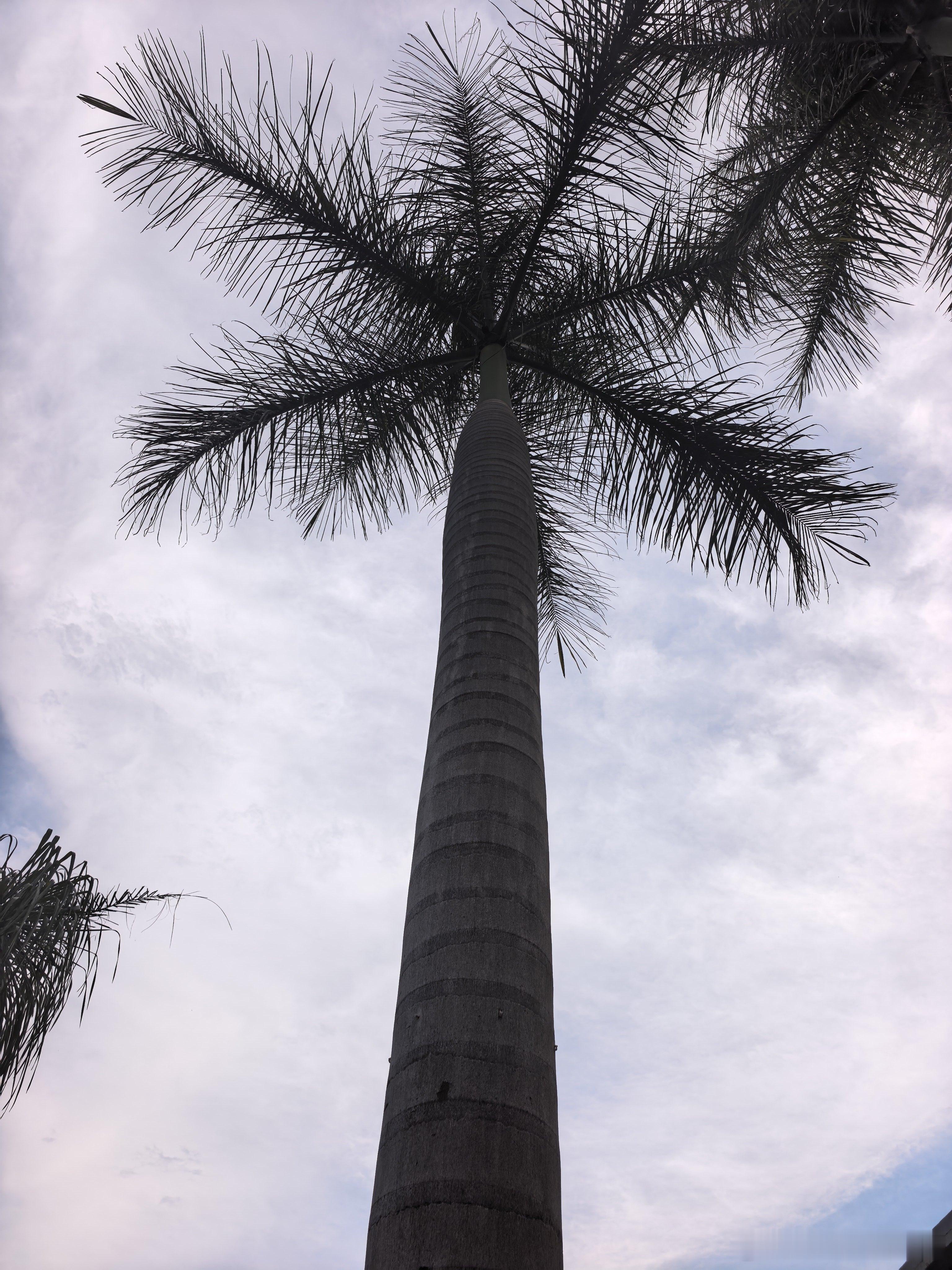 古代叫良家子，现在叫基本盘，如果一个朝代把基本盘都得罪光了，基本上这个社会也就完