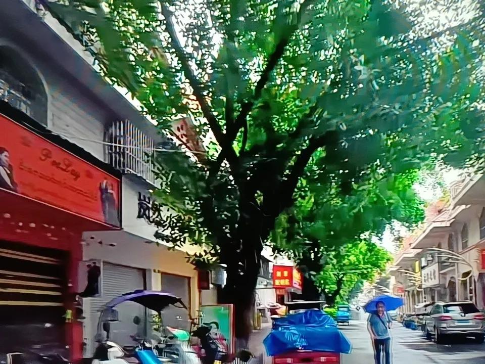 小巷是生活的缩影，也是最接地气的角落，这里也没有时尚的奢华，却可以找到离我们最近
