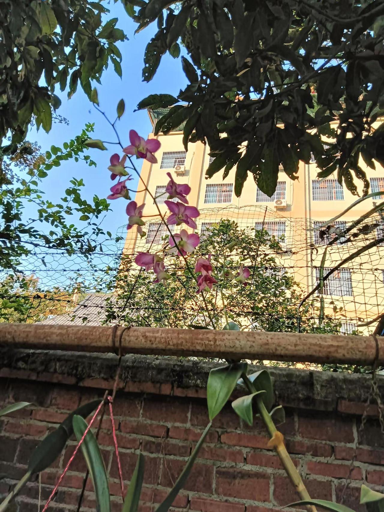 小花花，你别在开了，我等的人不会来了。