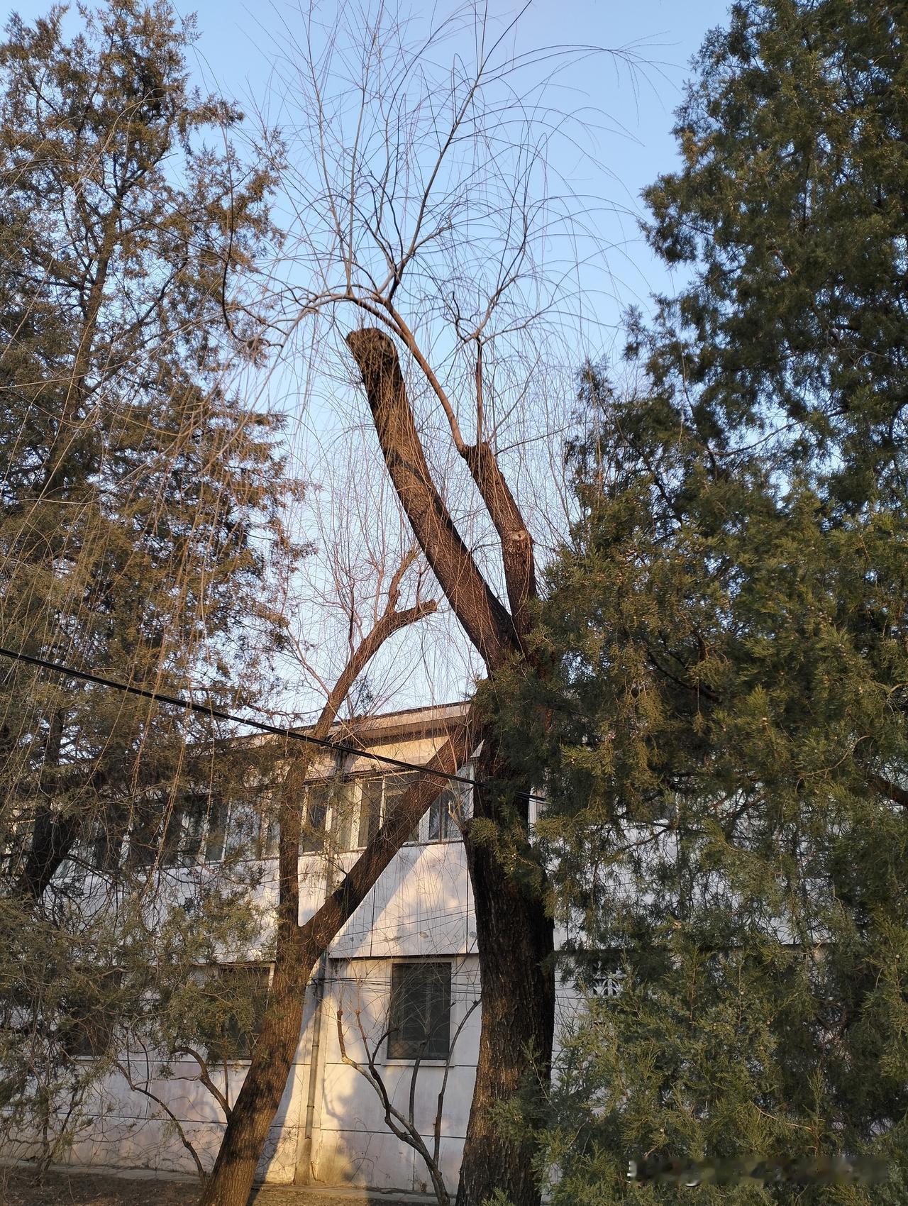 分享手机里一张好看的照片