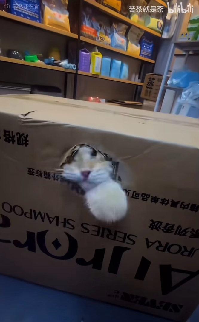 不好！ 出不去了 不对！！！ 有点爽是怎么回事 