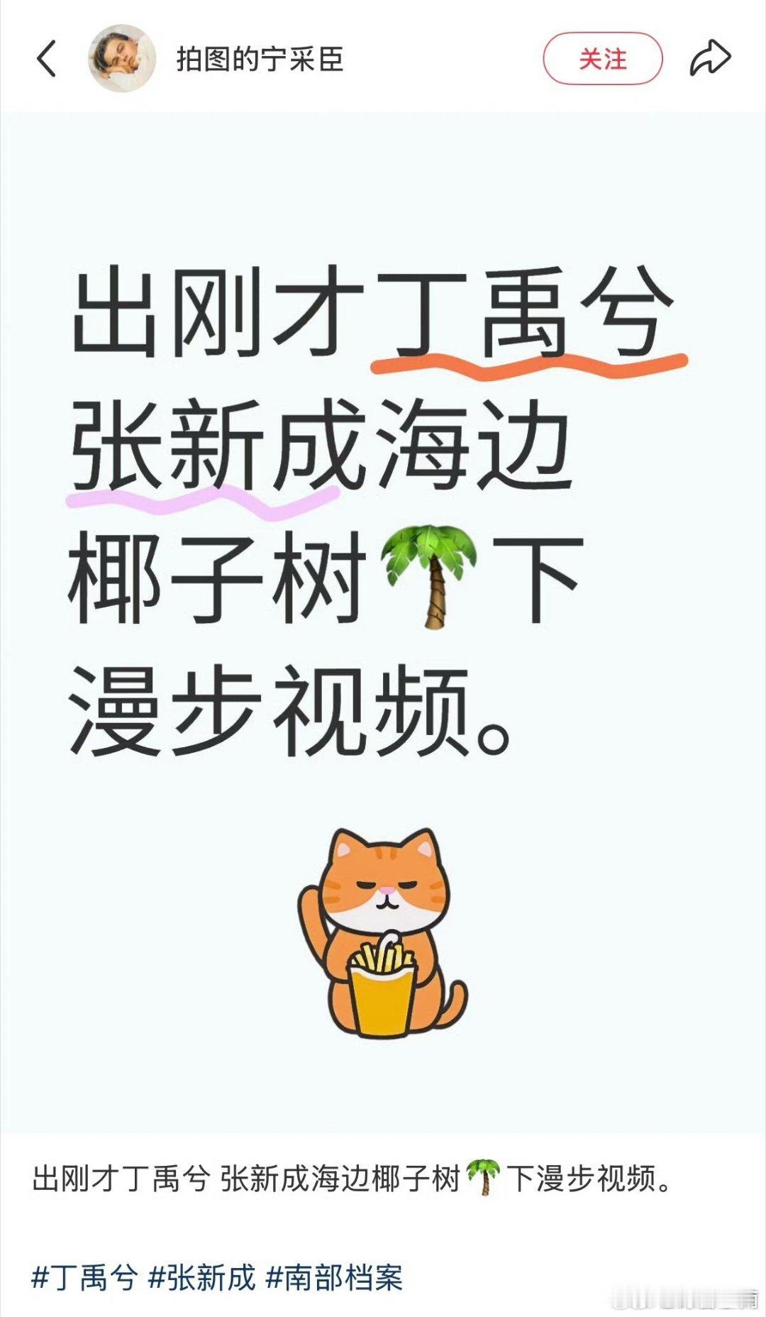 代拍给张新成丁禹兮写的小作文两个人搞不好私底下真的什么都来过一遍了代拍博主“拍图