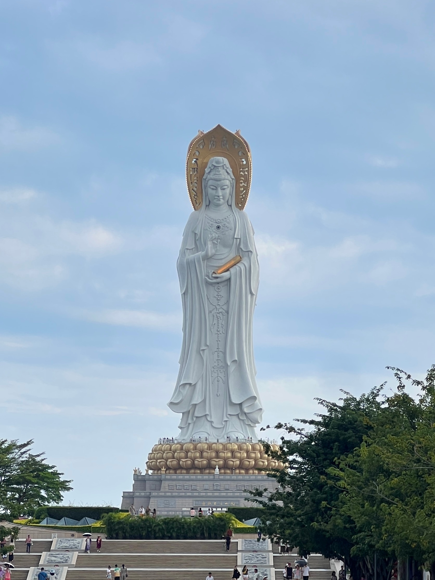 分享图片  ​​​