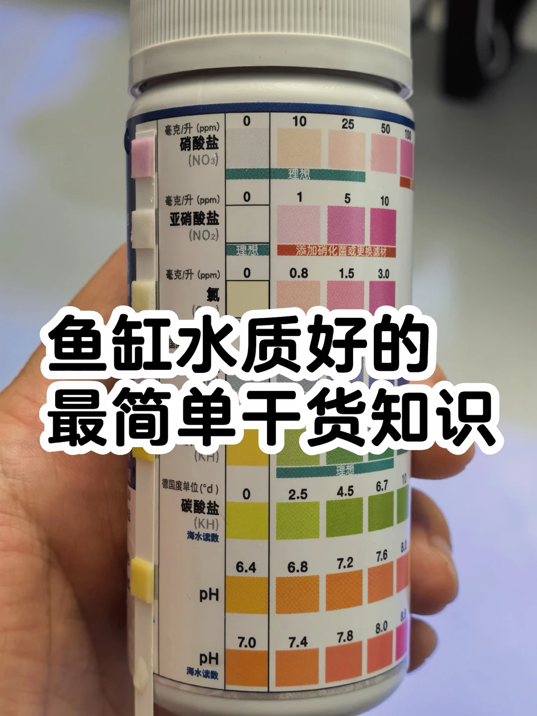 鱼缸水质好，最简单干货知识