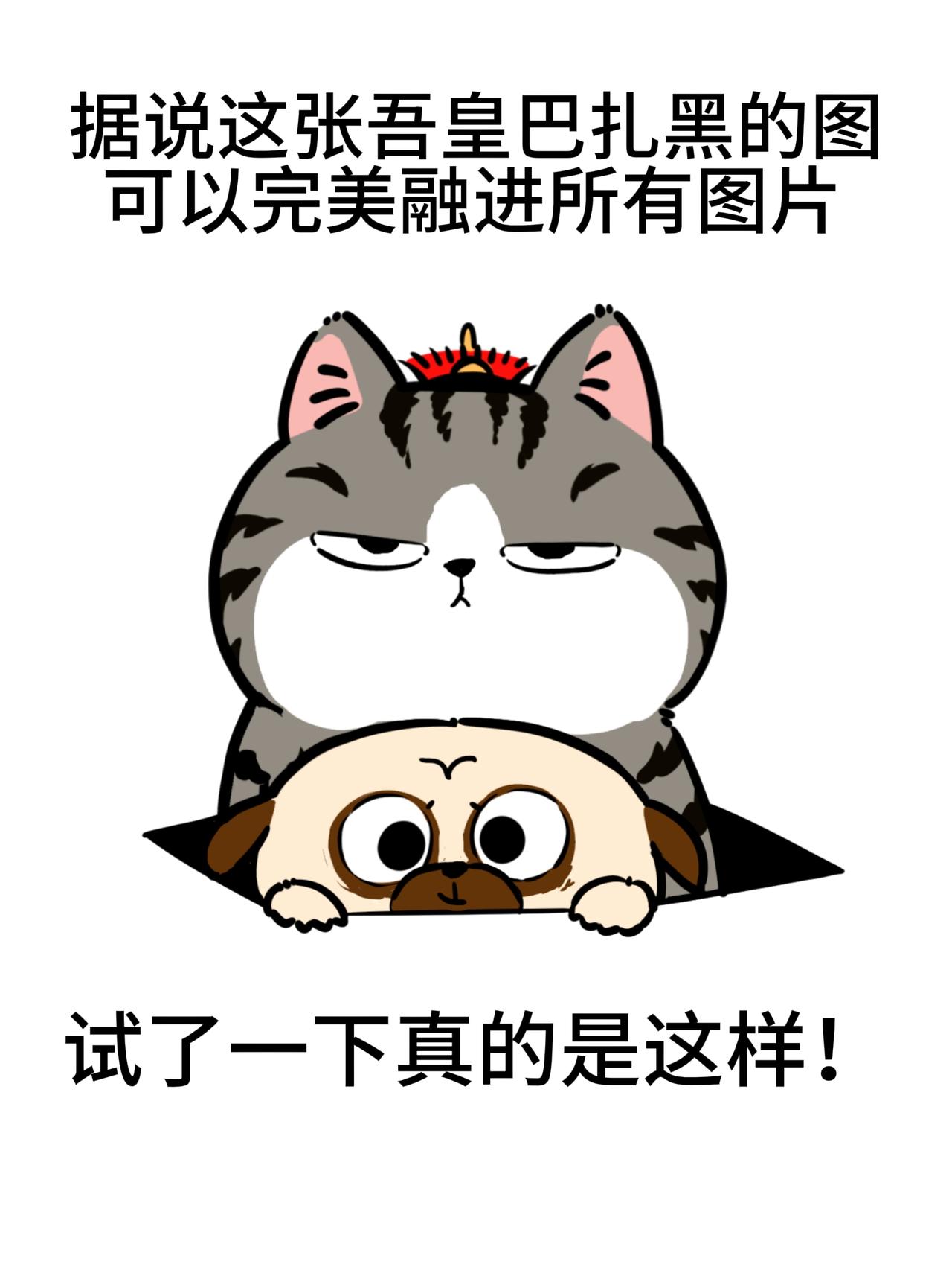 快收好这组会“咻咻”闪现的万能拍照搭子！
一共四张透明底贴纸
吾皇超萌脸坐镇，巴