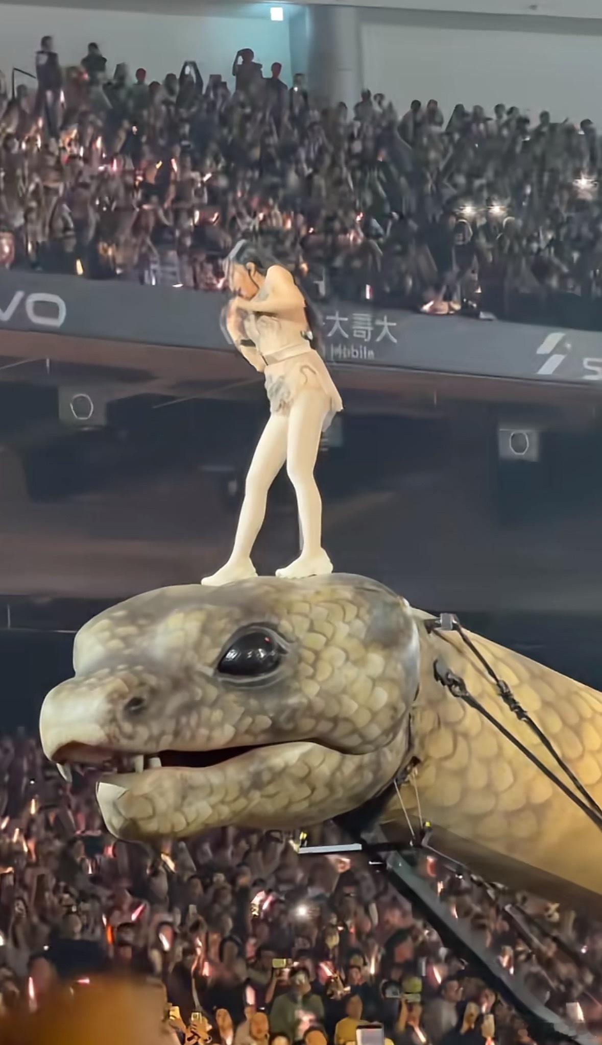 某蔡的演唱会造型。我是真没看出艺术与霸气。台湾人的审美缺乏主体性，照搬日韩或欧美